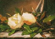 Martin Johnson Heade, Giant Magnolias